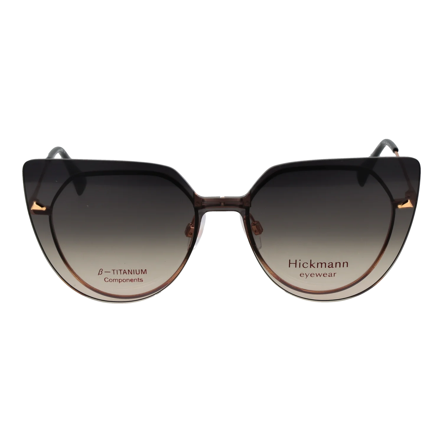 Ana Hickmann Sunglasses Clip HI1262GT 09AG 49 solglasögon dam – bild 2