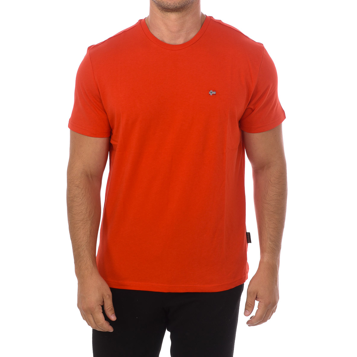 Herr T-shirt med kort ärm och rund hals NP0A4FRP