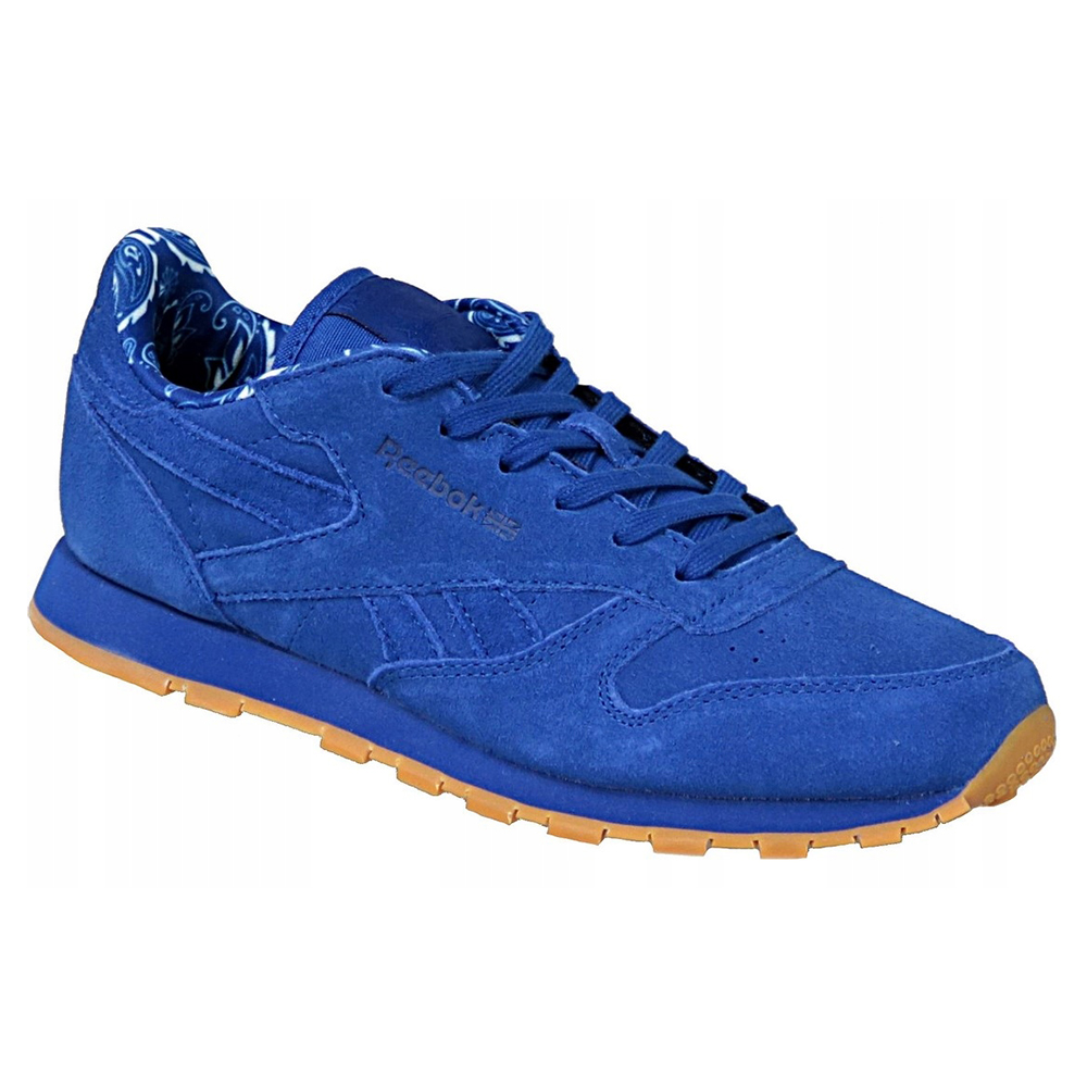 Reebok Kinderen/Kinderen Classic TDC Leren Trainers (Blauw)