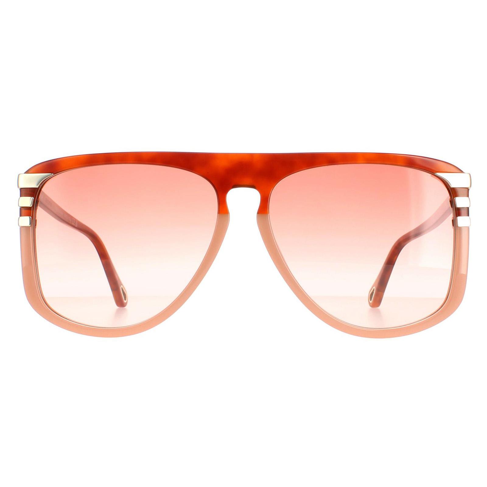 Thumbnail - Chloe Aviator Damen Glänzend Blond Havanna Orange Farbverlauf CH0104S