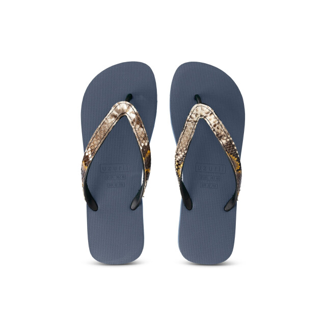 Uzurii Python taupe marineblauw