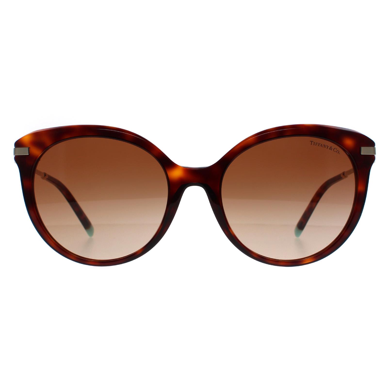 Thumbnail - Tiffany Cat Eye Womens Havanna Braun Gradient TF4189